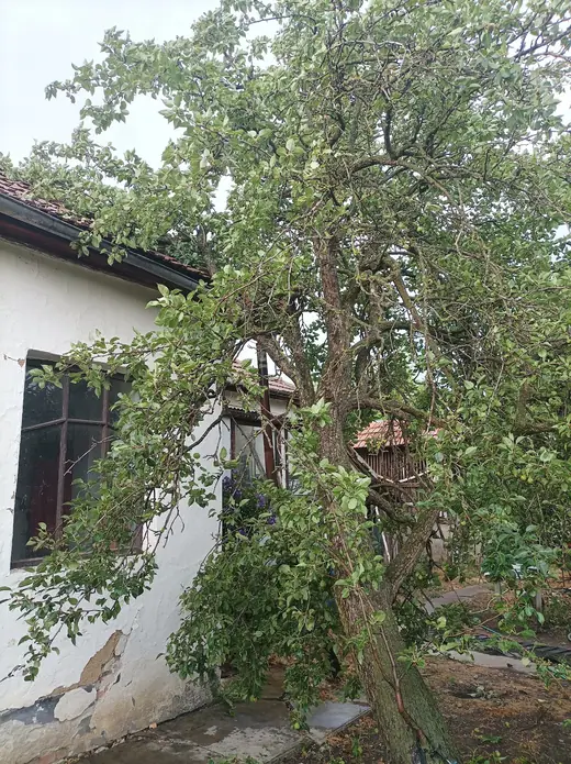Viharkárok tizenkét helyszínen, 1. kép