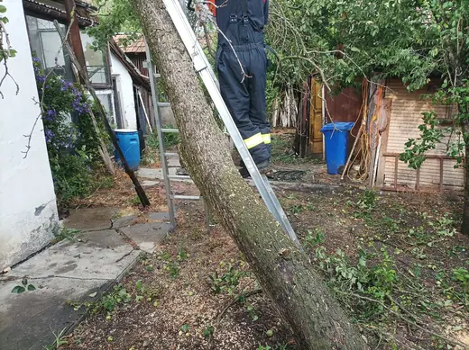Viharkárok tizenkét helyszínen, 4. kép