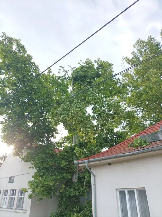 Viharkárok tizenkét helyszínen, 7. kép