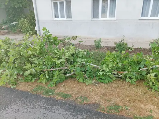 Viharkárok tizenkét helyszínen, 9. kép