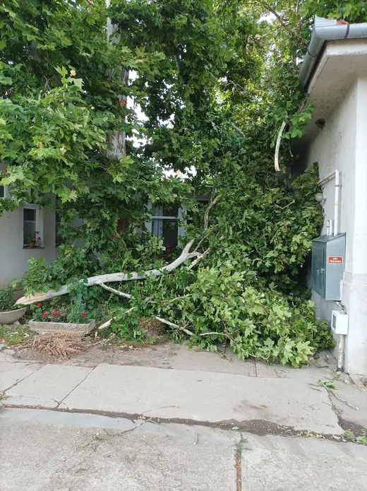 Viharkárok tizenkét helyszínen, 10. kép