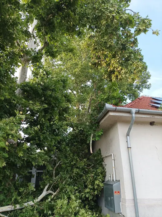 Viharkárok tizenkét helyszínen, 11. kép