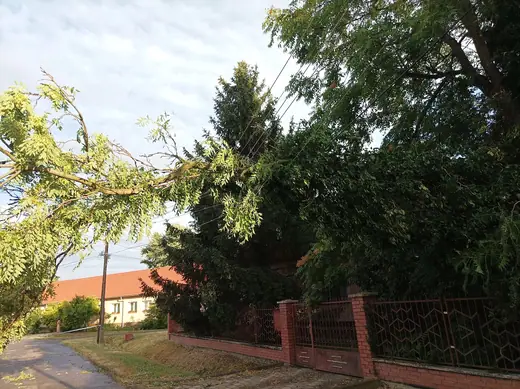 Viharkárok tizenkét helyszínen, 17. kép