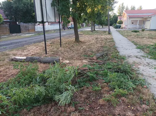 Viharkárok tizenkét helyszínen, 20. kép