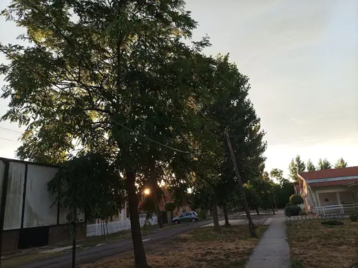 Viharkárok tizenkét helyszínen, 22. kép