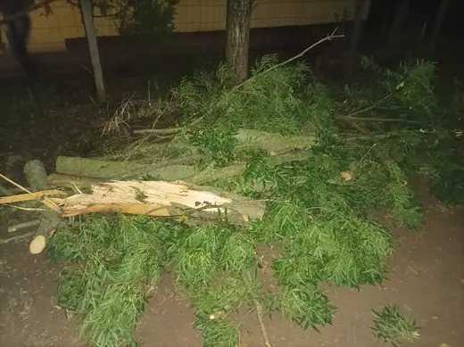 Viharkárok tizenkét helyszínen, 31. kép