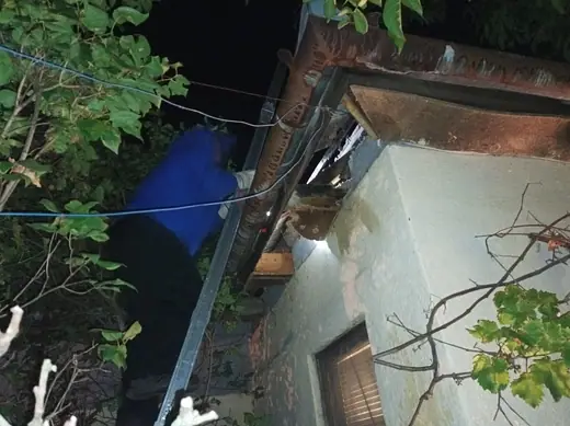 Darazsak egy gyerekszobában, 1. kép