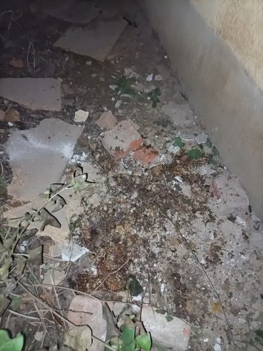 Darazsak egy gyerekszobában, 3. kép